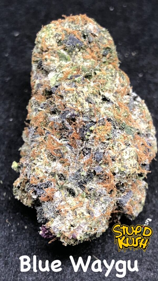 Blue Waygu