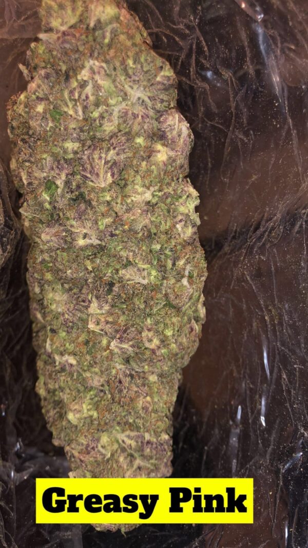 Greasy Pink
