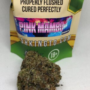 Pink Mambo