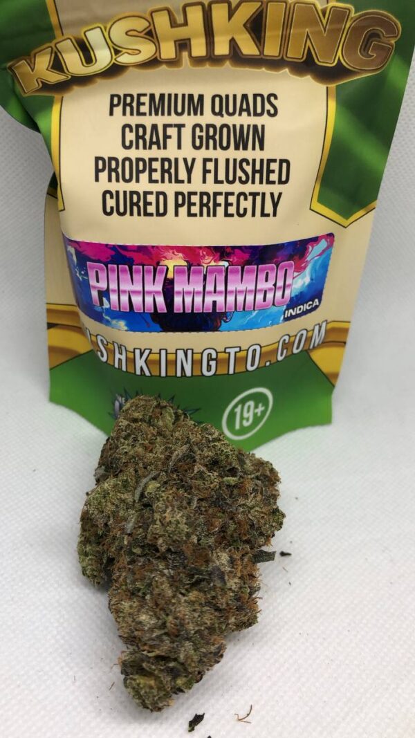 Pink Mambo